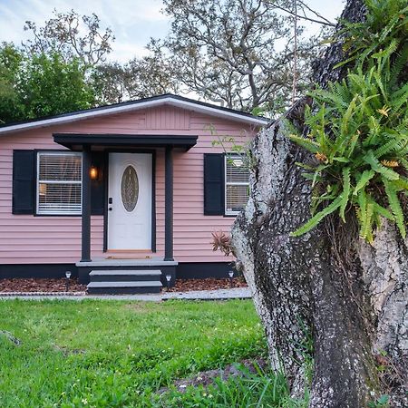 Villa House Near Tampa Zoo And Busch Gardens, Free High Speed Wifi Exterior foto