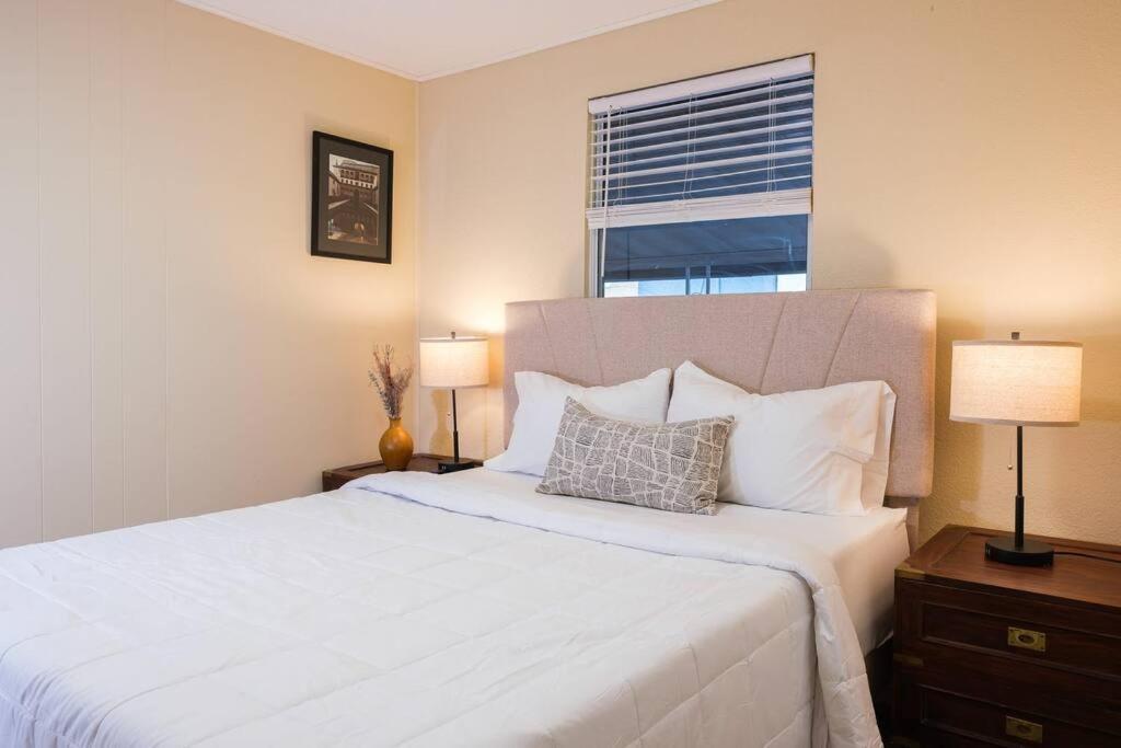 Villa House Near Tampa Zoo And Busch Gardens, Free High Speed Wifi Exterior foto