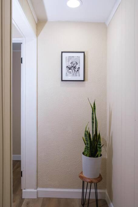 Villa House Near Tampa Zoo And Busch Gardens, Free High Speed Wifi Exterior foto